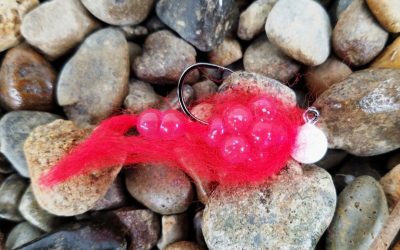 Steelhead Eggie Jig –  White Hot
