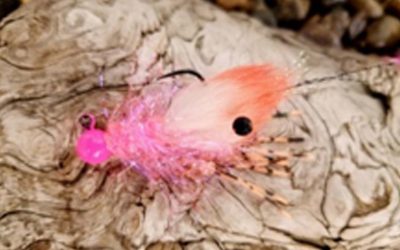 1/8 oz Krusty Shrimp Steelhead Jig – Pink Shrimp