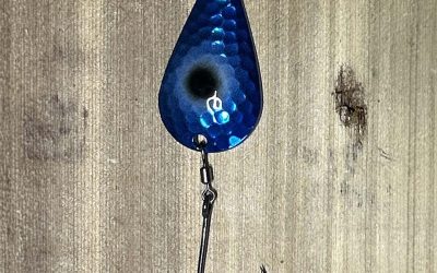 NW Tackle 101 Steelhead Slammer Steelie 1/2oz Metallic Blue Black Eye Casting Spoon